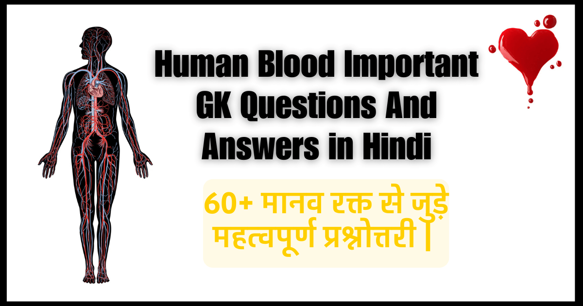 60+ मानव रक्त से जुड़े महत्वपूर्ण प्रश्नोत्तरी | Human Blood Important GK Questions And Answers in Hindi